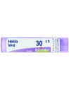 Hekla lava 30ch gr