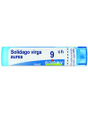 Solidago virga aurea 9ch gr