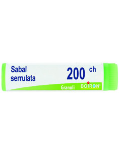 Sabal serrulata 200ch gl