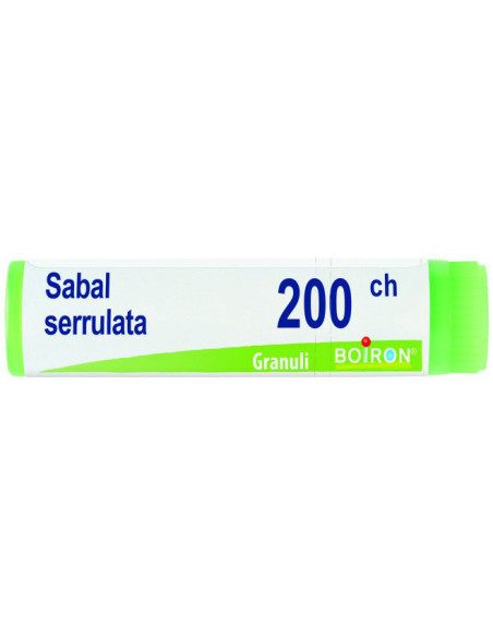 Sabal serrulata 200ch gl