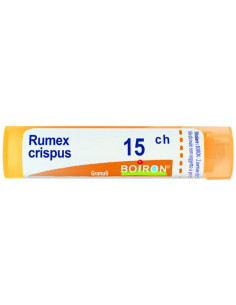 Rumex crispus 15ch gr