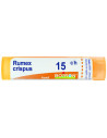 Rumex crispus 15ch gr
