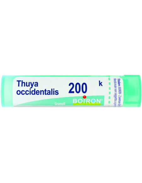 Thuya occident 200k gr