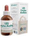 Les corylus avellana gocce50ml