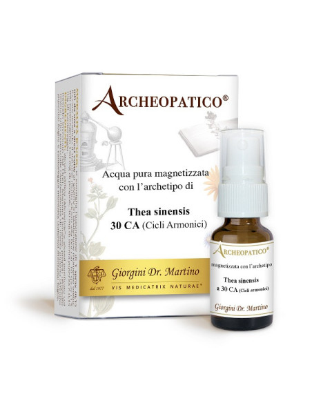 Thea sinensis 30 ca