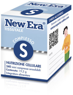 New era s 240gr
