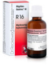 Reckeweg r16 gocce 22ml