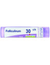 Folliculinum 30ch gr
