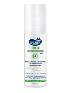 Sauber fresh deo vapo 100ml | Clubfarma