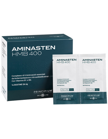 Principium aminasten hmb400 14