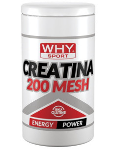Whysport creatina 200 mesh500g