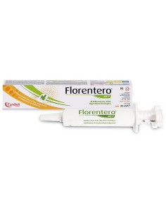 Florentero act pasta 30 ml | Clubfarma