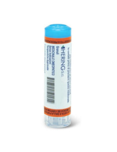 Actea racemosa 30ch gr 1g
