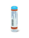 Actea racemosa 30ch gr 1g