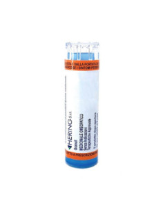 Pulsatilla 30ch 80gr 4g