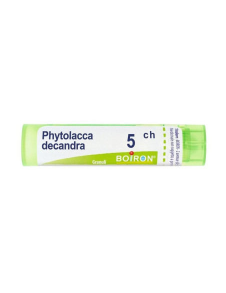 Phytolacca decandra 5ch 80gr