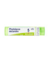 Phytolacca decandra 5ch 80gr