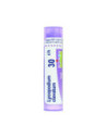 Lycopodium clavatum*30ch 80gr