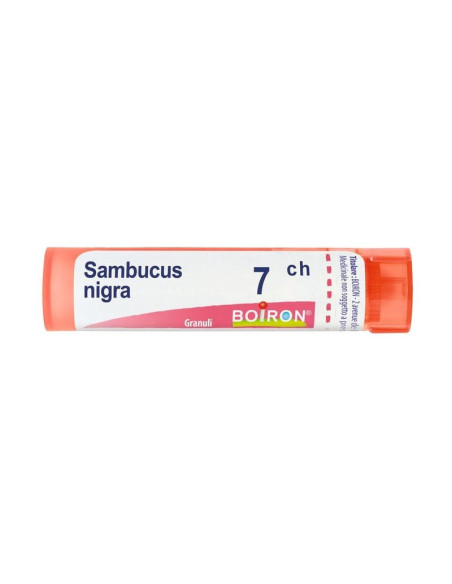 Sambucus nigra 7ch 80gr 4g