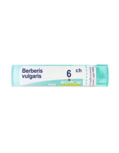 Berberis vulgaris 6ch 80gr 4g