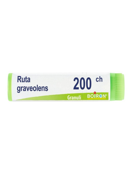 Ruta graveolens 200ch gl 1g