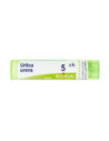 Urtica urens 5ch 80gr 4g