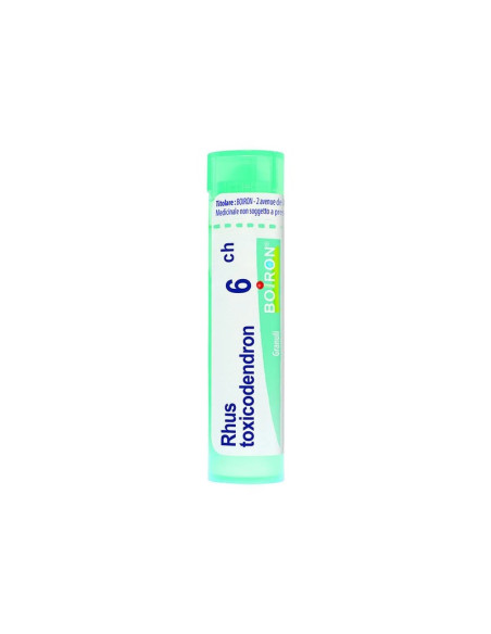 Rhus toxicodendron*6ch 80gr 4g