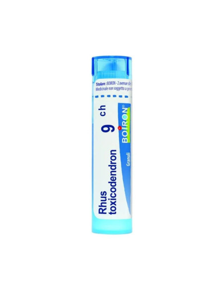 Rhus toxicodendron*9ch 80gr 4g