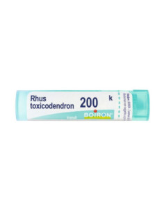 Rhus toxicodendron 200k 80gr4g