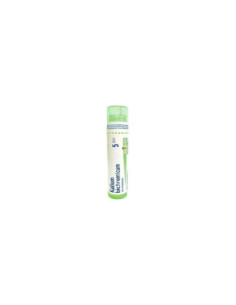 Kalium bichromicum*5ch 80gr 4g