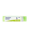 Teucrium marum 5ch 80gr 4g