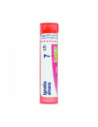 Ignatia amara*7ch 80gr 4g