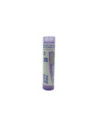 Ignatia amara*30ch 80gr 4g