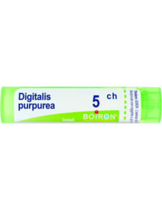 Digitalis purpurea 5ch 80gr 4g