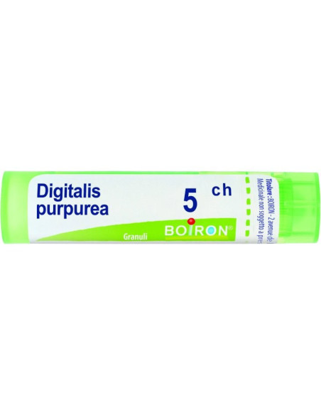 Digitalis purpurea 5ch 80gr 4g