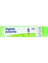 Digitalis purpurea 5ch 80gr 4g