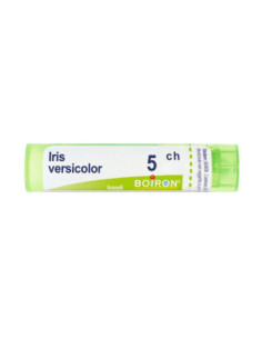 Iris versicolor 5ch 80gr 4g