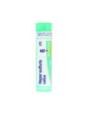 Hepar sulfuris calc 6ch 80gr