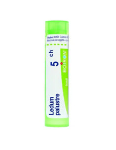 Ledum palustre boi 5ch 80gr 4g