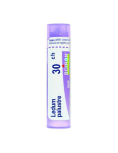 Ledum palustre boi 30ch 80gr4g