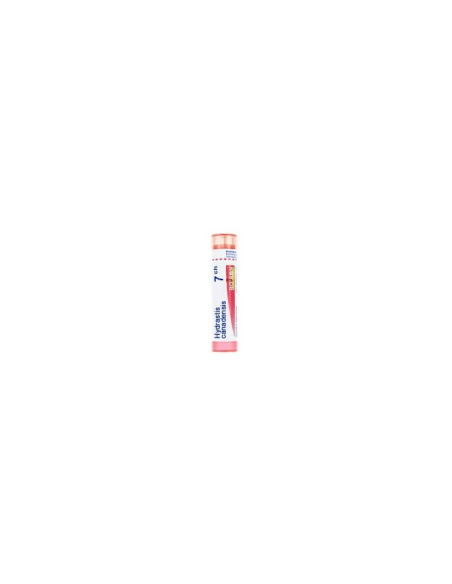 Hydrastis canad 7ch gr