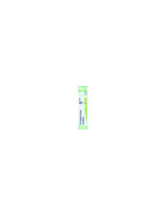 Phosphoricum ac 5ch gr - BOIRON | Clubfarma