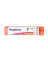 Phosphorus 7ch gr
