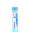 Phosphorus 9ch gr