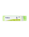 Pollens 5ch gr
