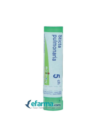 Sticta pulmonaria 5ch gr