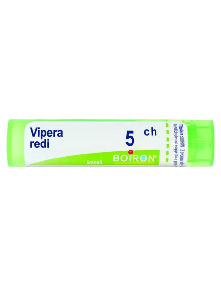 Vipera redi 5ch gr