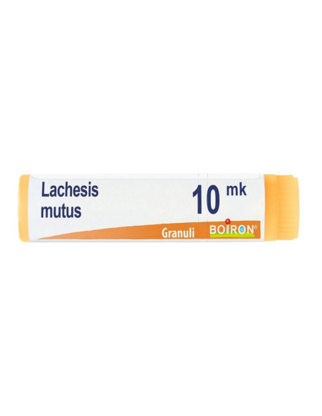 Lachesis mutus xmk gl