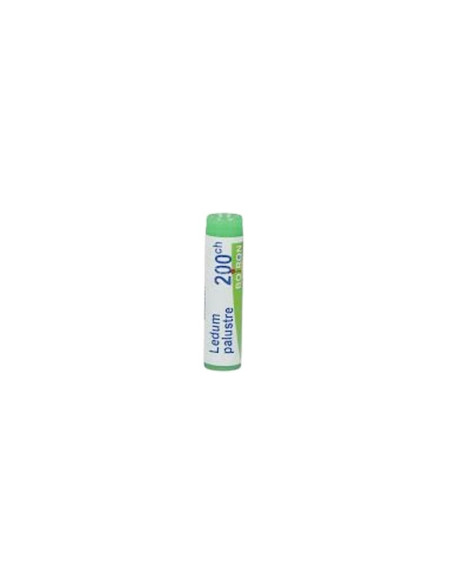 Ledum palustre 200ch gl