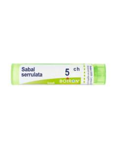Sabal serrulata 5ch gr